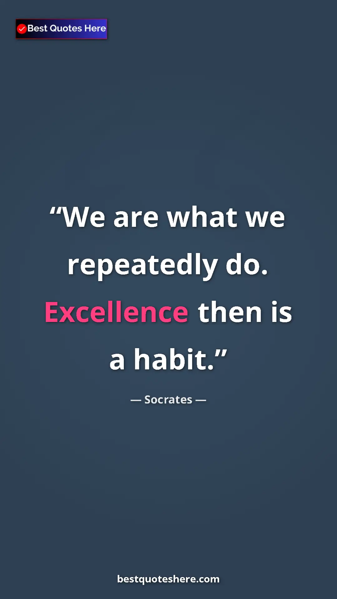Pinterest quote poster by Socrates: "We are what we repeatedly do. Excellence then is a habit."