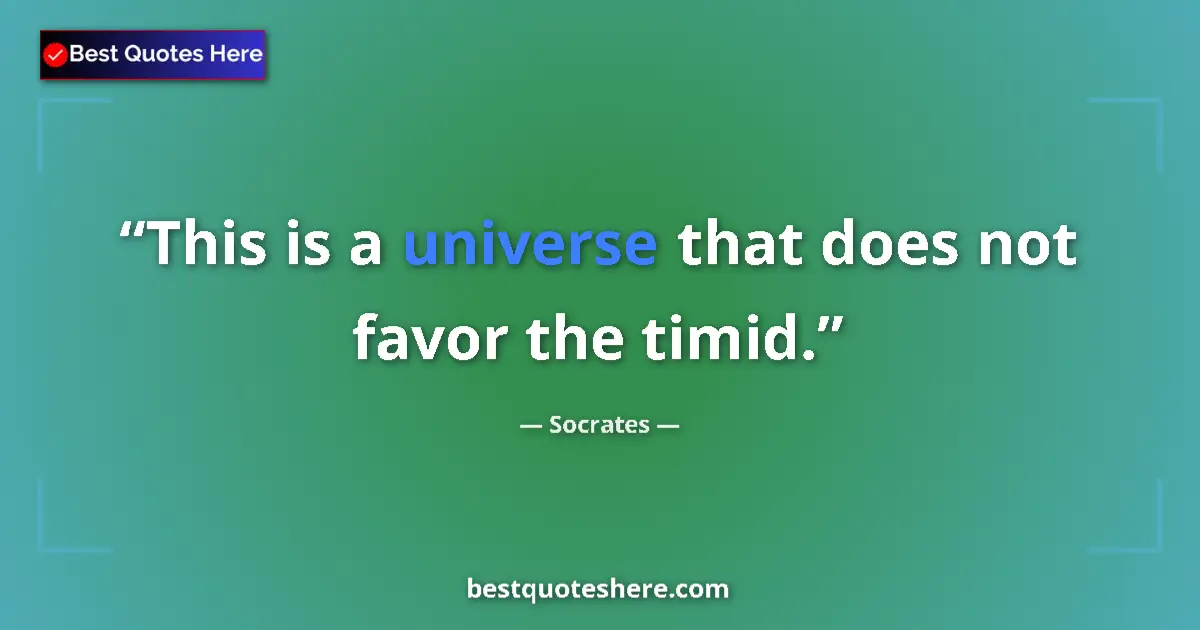 Quote by Socrates: This is a universe that does not favor the timid....