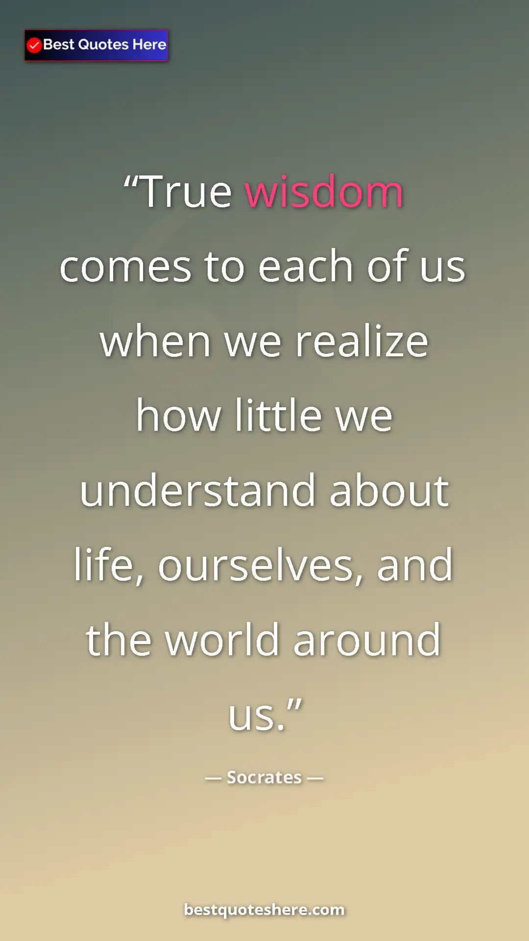 Pinterest quote poster by Socrates: "True wisdom comes to each of us when we realize how little..."