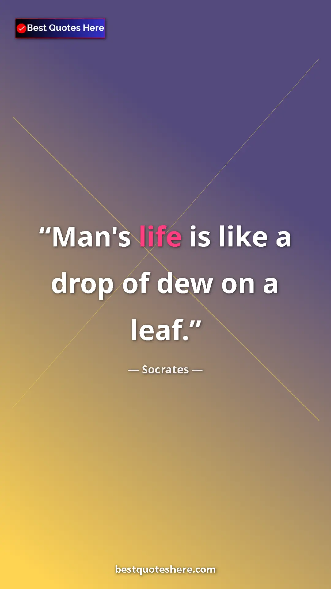Pinterest quote poster by Socrates: "Man's life is like a drop of dew on a leaf."