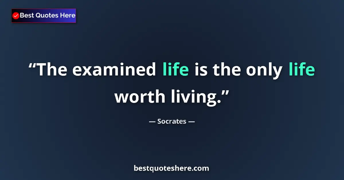 Quote by Socrates: The examined life is the only life worth living.