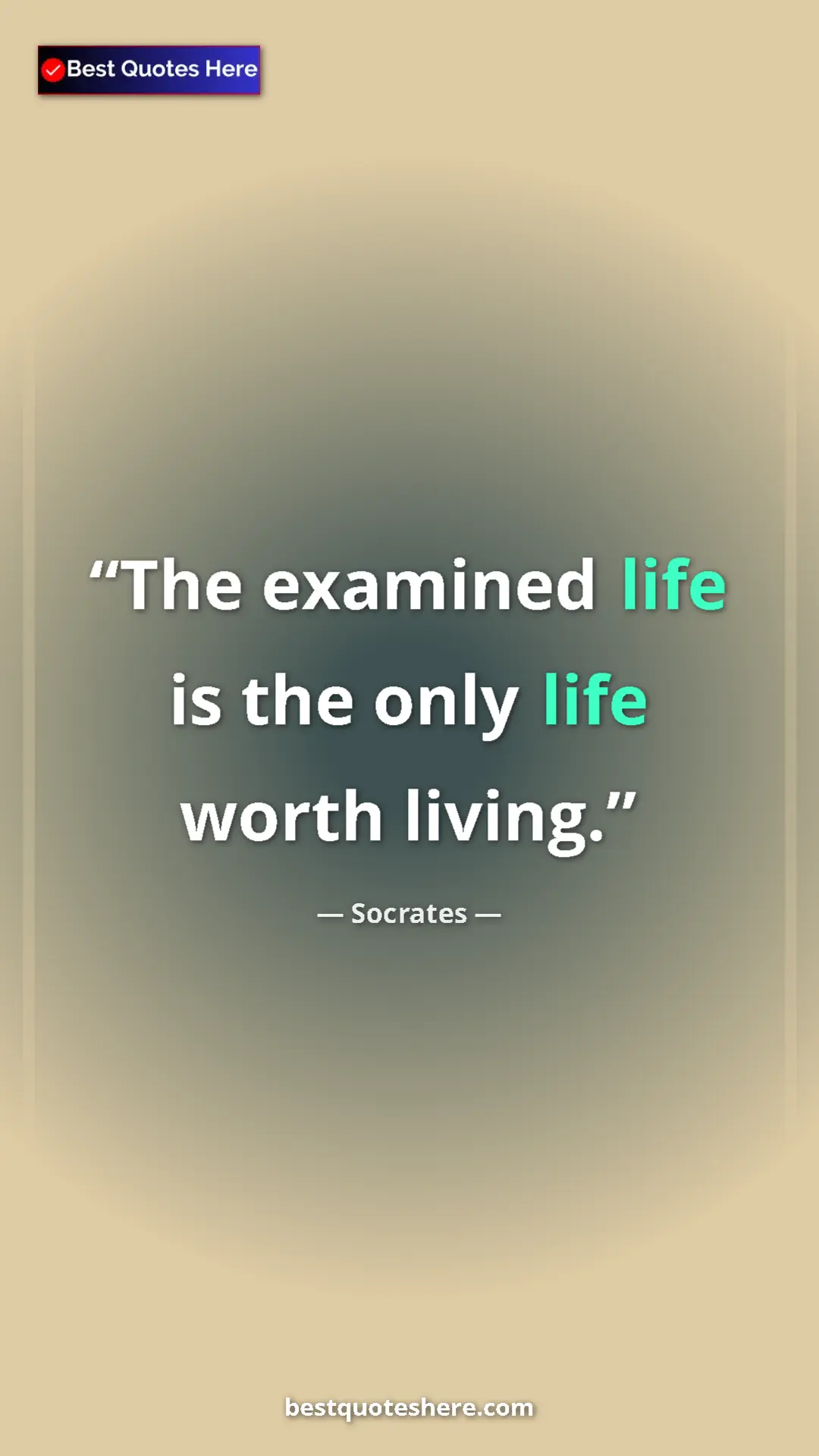 Pinterest quote poster by Socrates: "The examined life is the only life worth living."