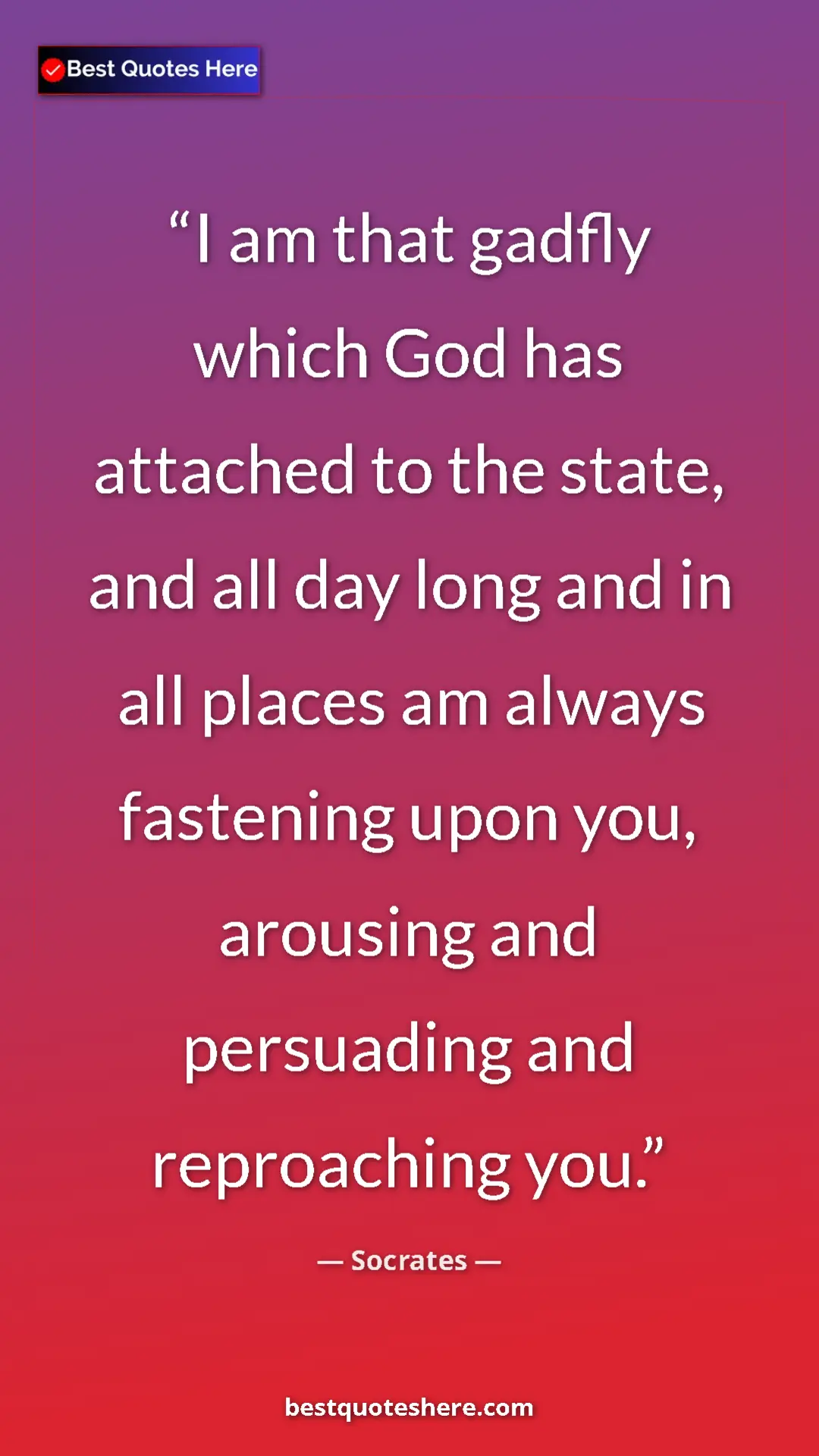 Pinterest quote poster by Socrates: "I am that gadfly which God has attached to the state, and..."