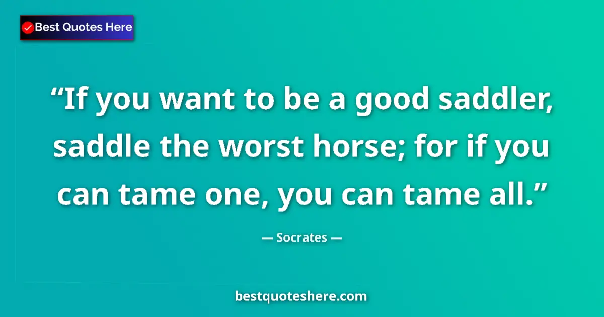 Quote by Socrates: If you want to be a good saddler, saddle the worst horse; for if you can tame one, you can tame all....