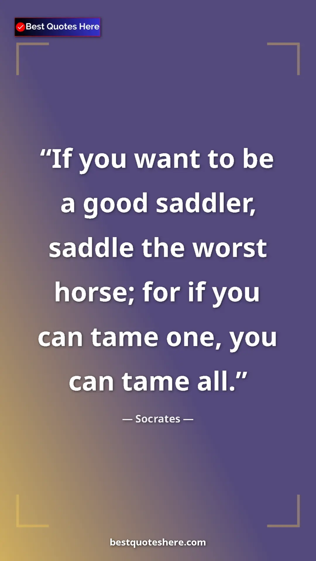 Pinterest quote poster by Socrates: "If you want to be a good saddler, saddle the worst horse;..."