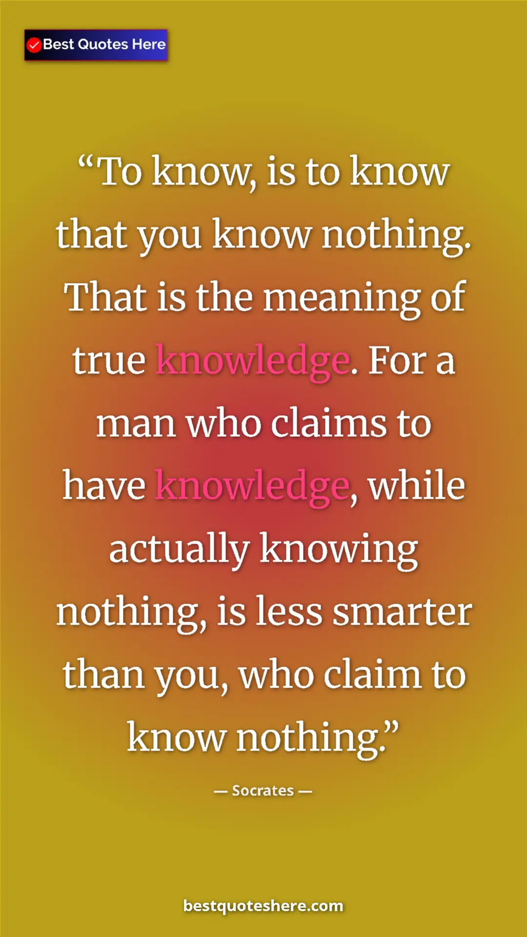 Pinterest quote poster by Socrates: "To know, is to know that you know nothing. That is the..."