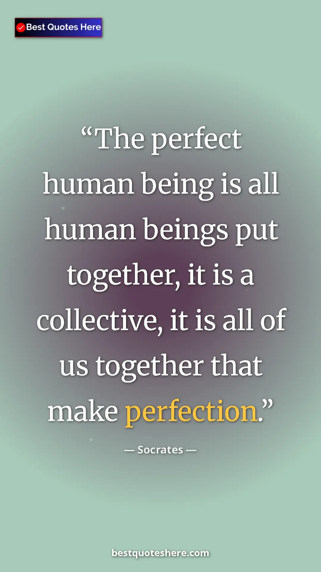 Socrates Quote Card: "The perfect human being is all human beings put together,..." Pinterest quote poster by Socrates: "The perfect human being is all human beings put together,..."