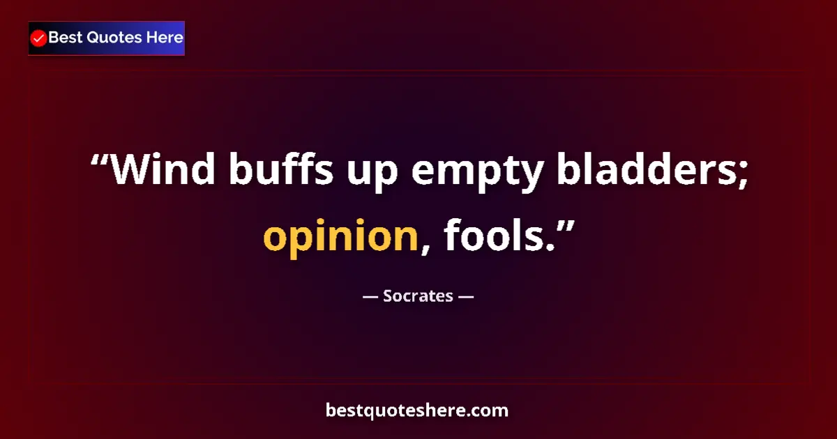 Quote by Socrates: Wind buffs up empty bladders; opinion, fools.