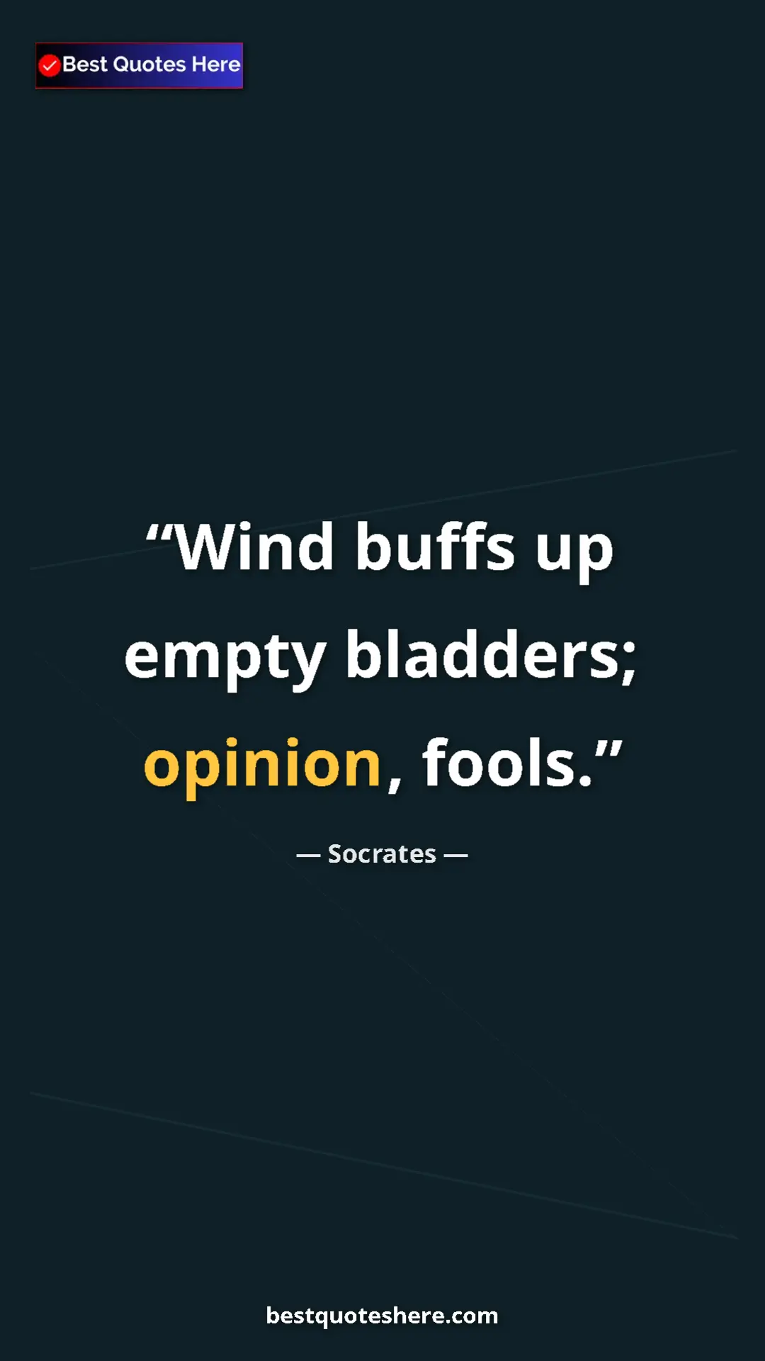 Pinterest quote poster by Socrates: "Wind buffs up empty bladders; opinion, fools."