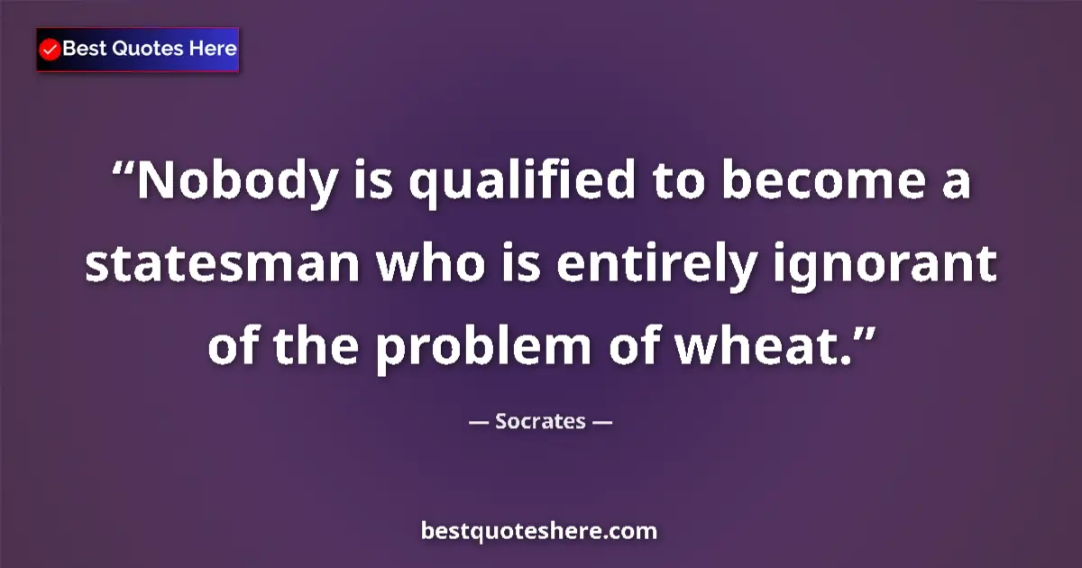 Quote by Socrates: Nobody is qualified to become a statesman who is entirely ignorant of the problem of wheat....