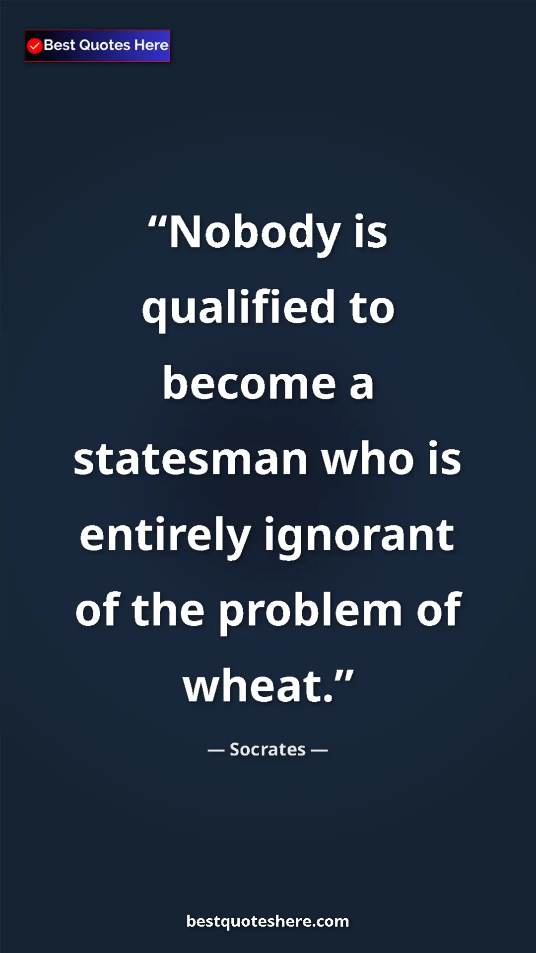 Pinterest quote poster by Socrates: "Nobody is qualified to become a statesman who is entirely..."