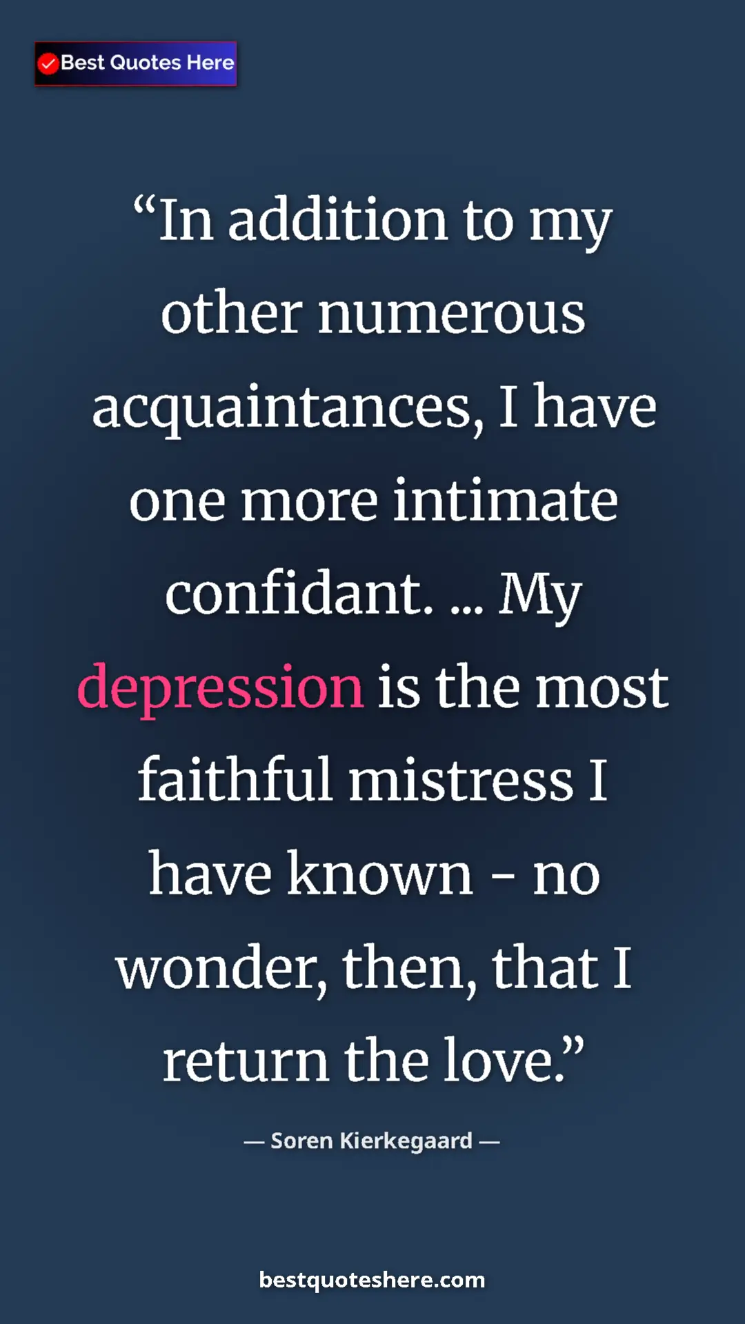 Pinterest quote poster by Soren Kierkegaard: "In addition to my other numerous acquaintances, I have one..."