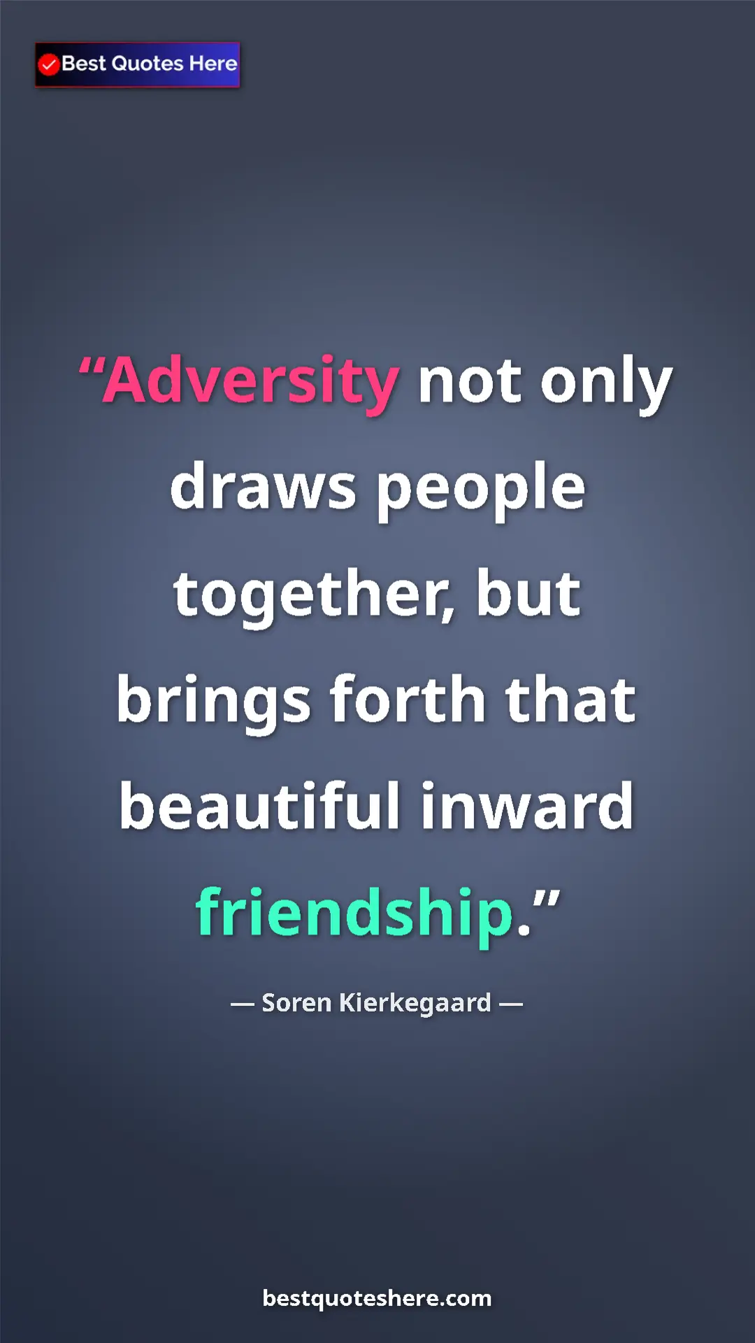 Pinterest quote poster by Soren Kierkegaard: "Adversity not only draws people together, but brings forth..."