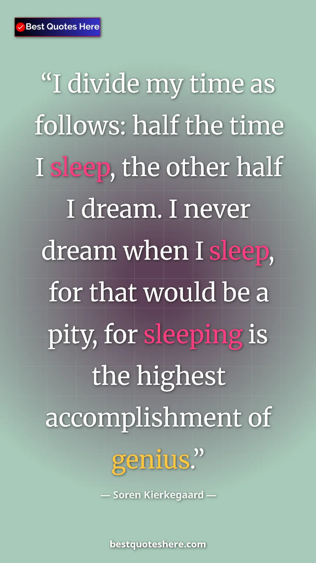 Pinterest quote poster by Soren Kierkegaard: "I divide my time as follows: half the time I sleep, the..."