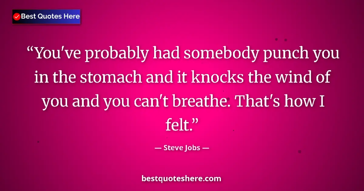 Quote by Steve Jobs: You've probably had somebody punch you in the stomach and it knocks the wind of you and you can't br...