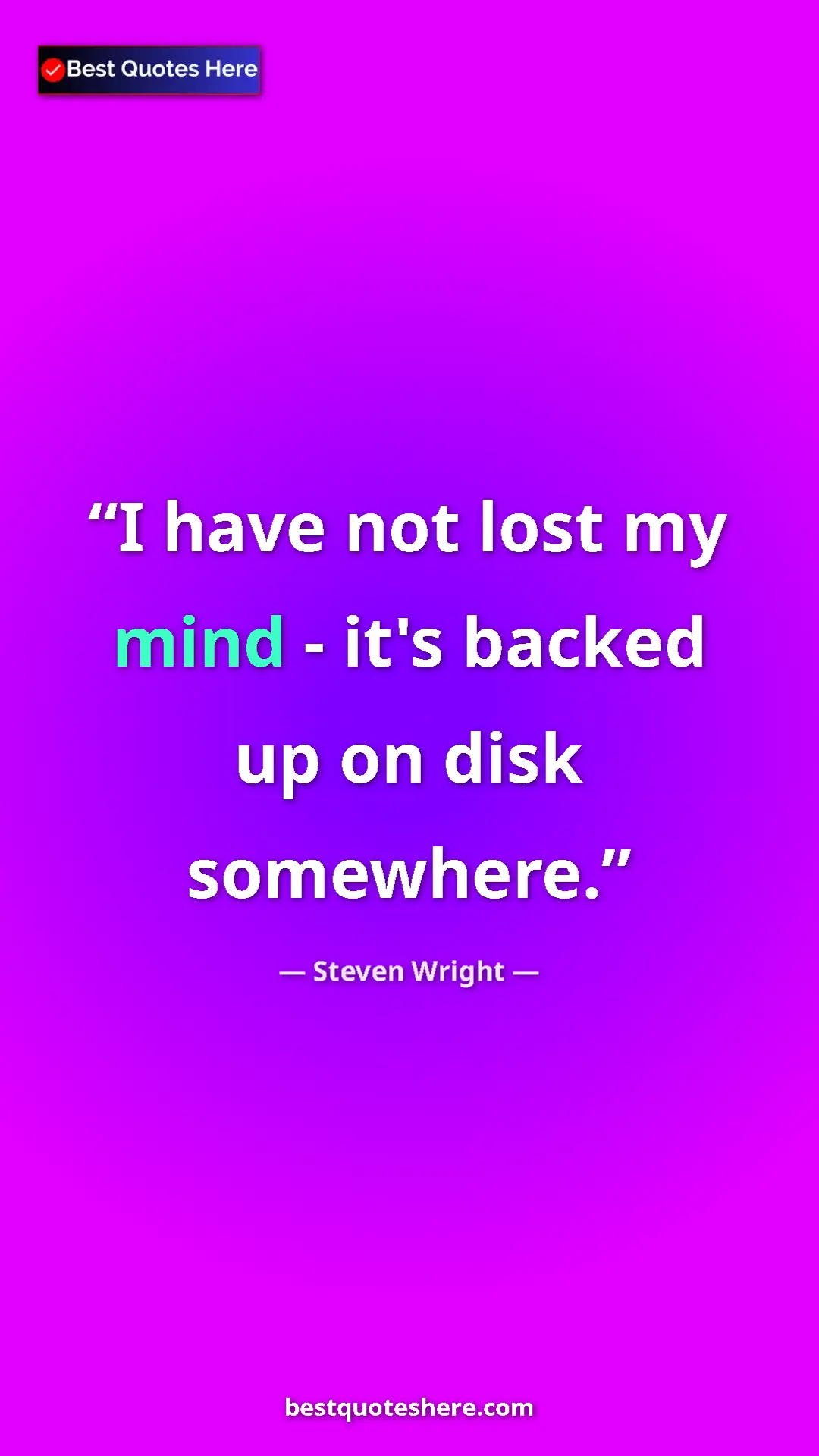 Pinterest quote poster by Steven Wright: "I have not lost my mind - it's backed up on disk somewhere."