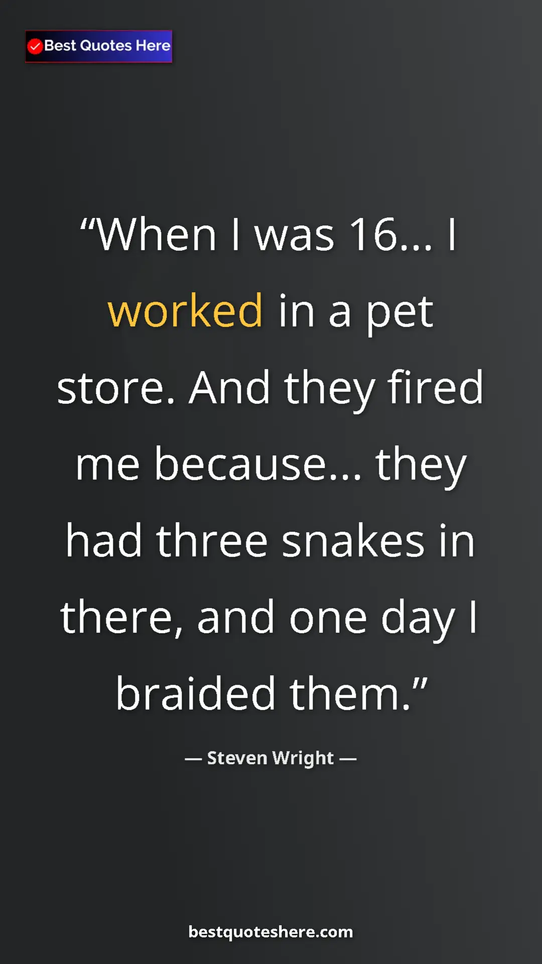 Pinterest quote poster by Steven Wright: "When I was 16... I worked in a pet store. And they fired me..."