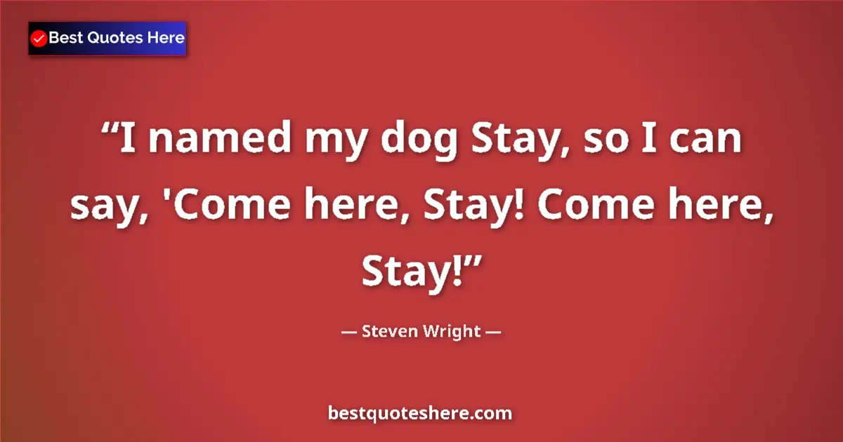 Quote by Steven Wright: I named my dog Stay, so I can say, 'Come here, Stay! Come here, Stay!...