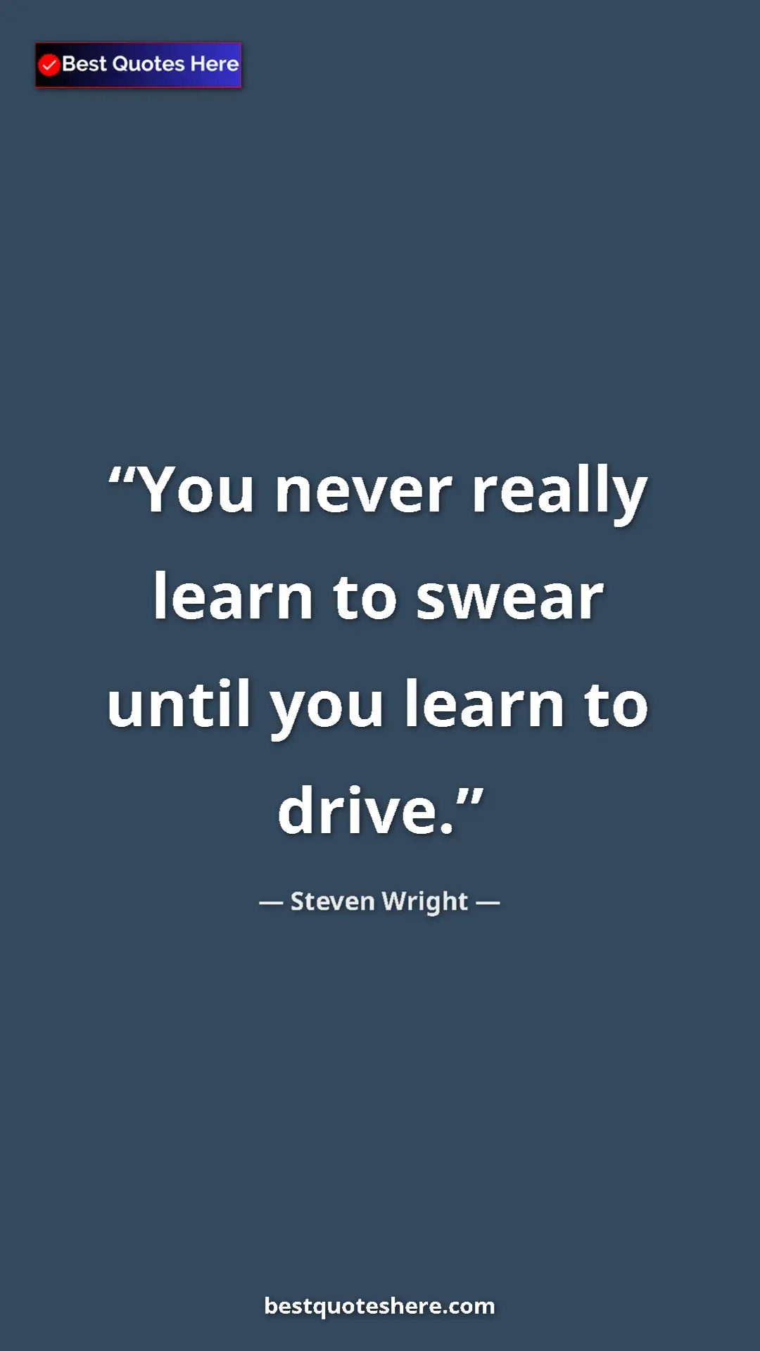 Pinterest quote poster by Steven Wright: "You never really learn to swear until you learn to drive."