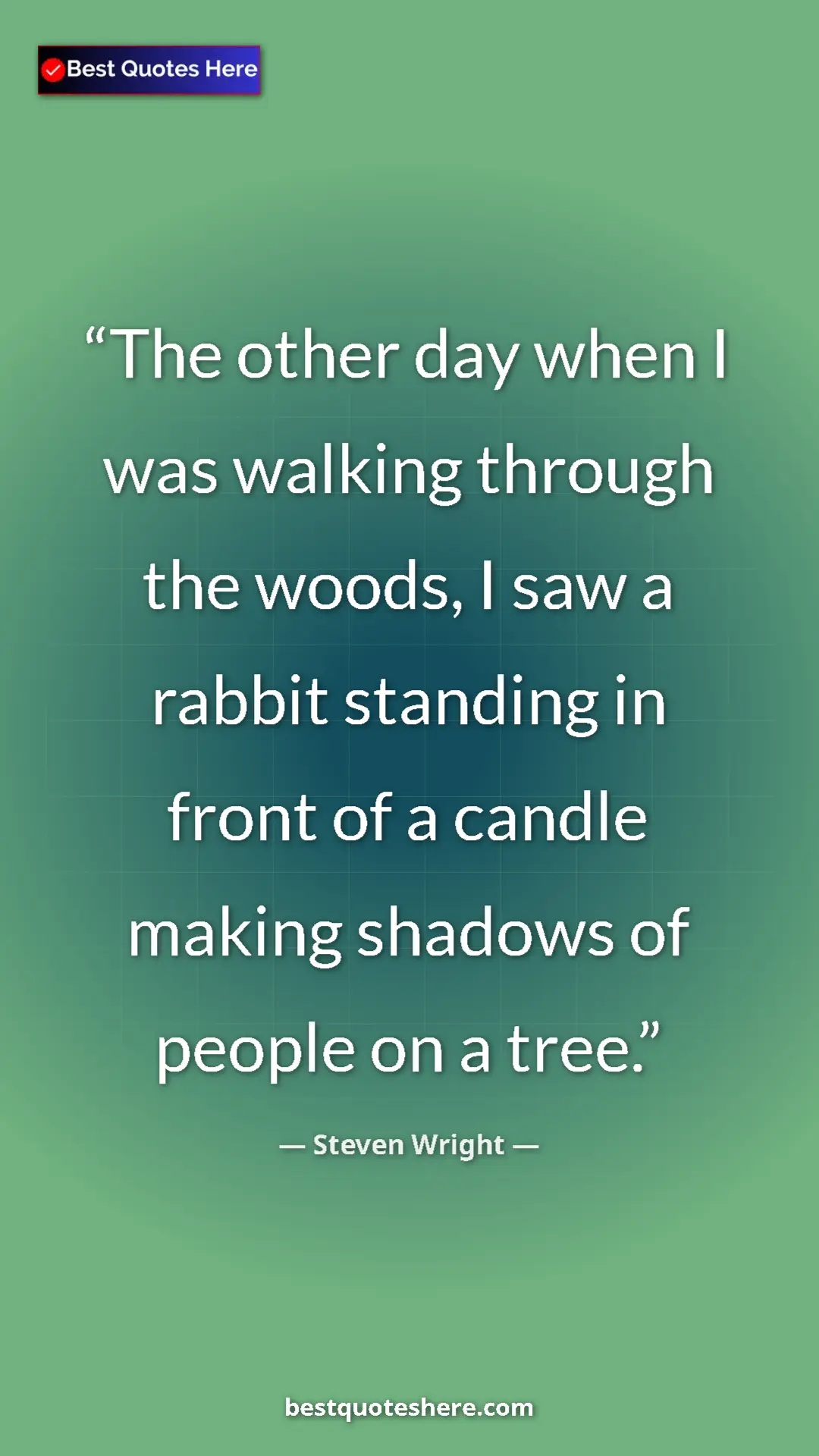 Pinterest quote poster by Steven Wright: "The other day when I was walking through the woods, I saw a..."
