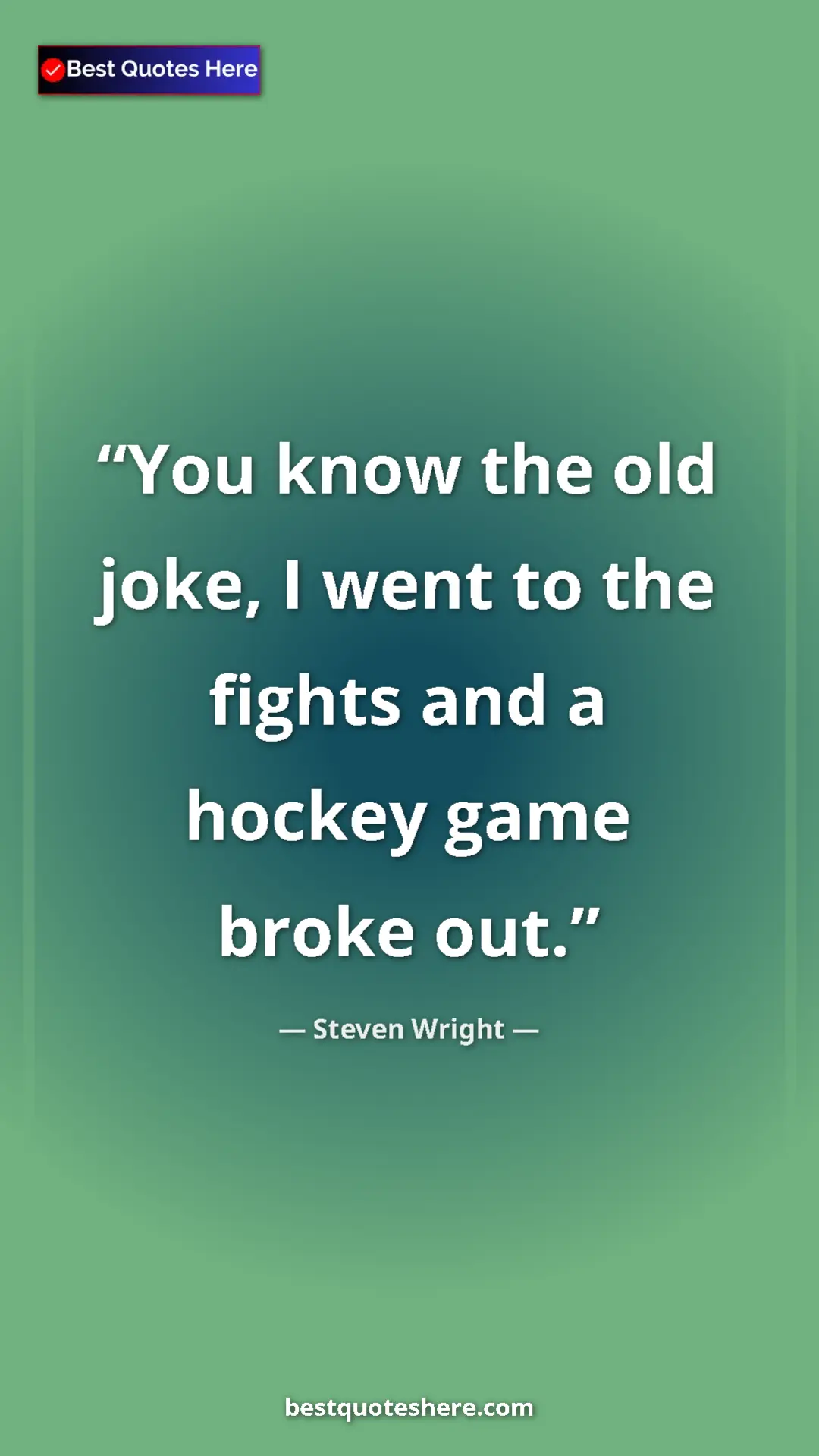 Pinterest quote poster by Steven Wright: "You know the old joke, I went to the fights and a hockey..."