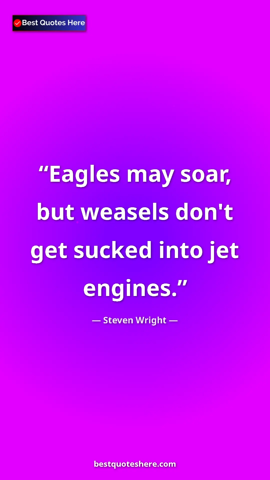 Pinterest quote poster by Steven Wright: "Eagles may soar, but weasels don't get sucked into jet..."