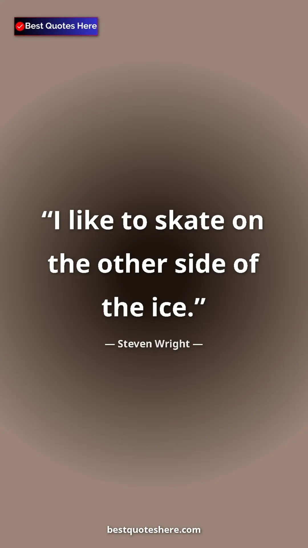 Pinterest quote poster by Steven Wright: "I like to skate on the other side of the ice."