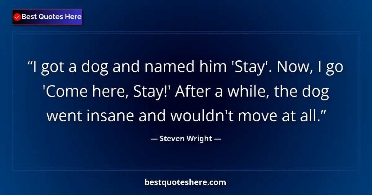 Quote by Steven Wright: I got a dog and named him 'Stay'. Now, I go 'Come here, Stay!' After a while, the dog went insane an...