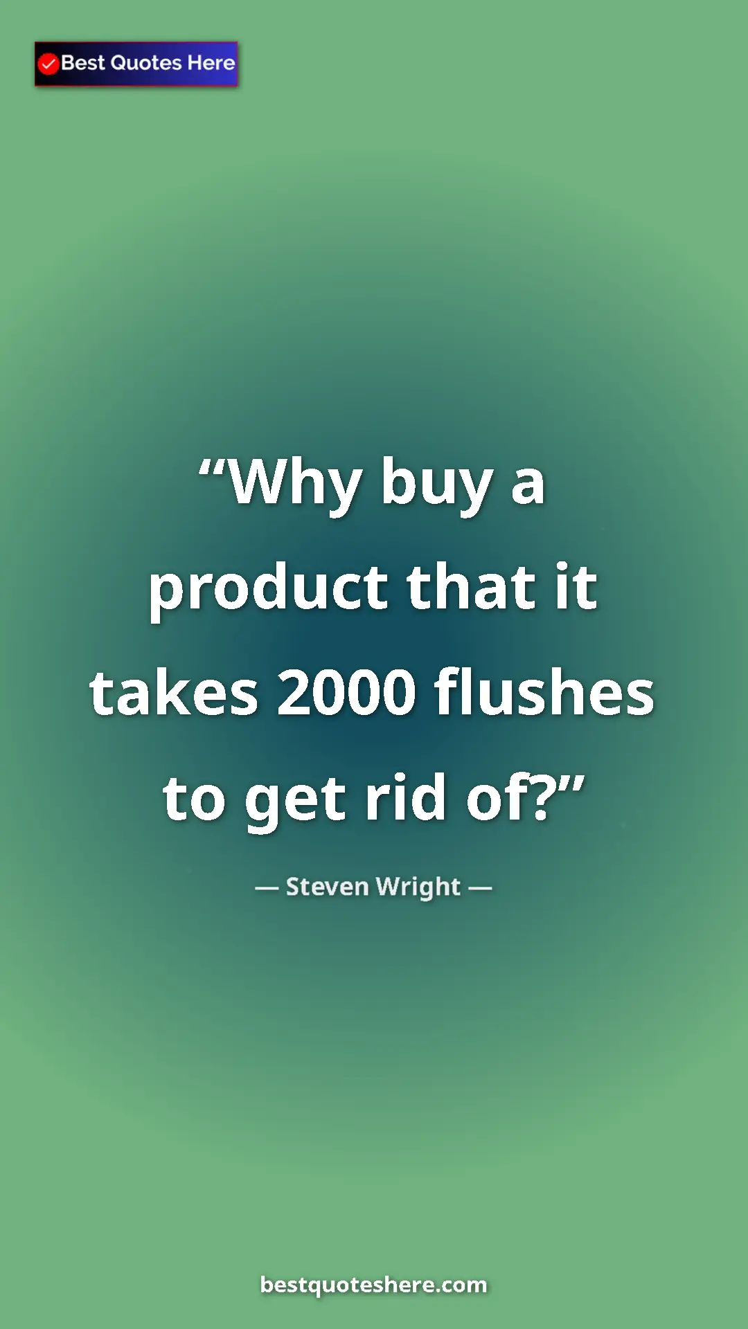 Pinterest quote poster by Steven Wright: "Why buy a product that it takes 2000 flushes to get rid of?"