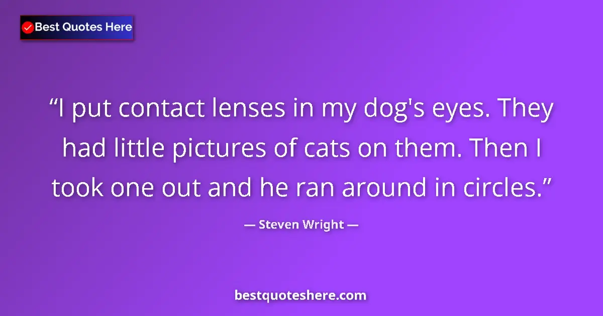 Quote by Steven Wright: I put contact lenses in my dog's eyes. They had li