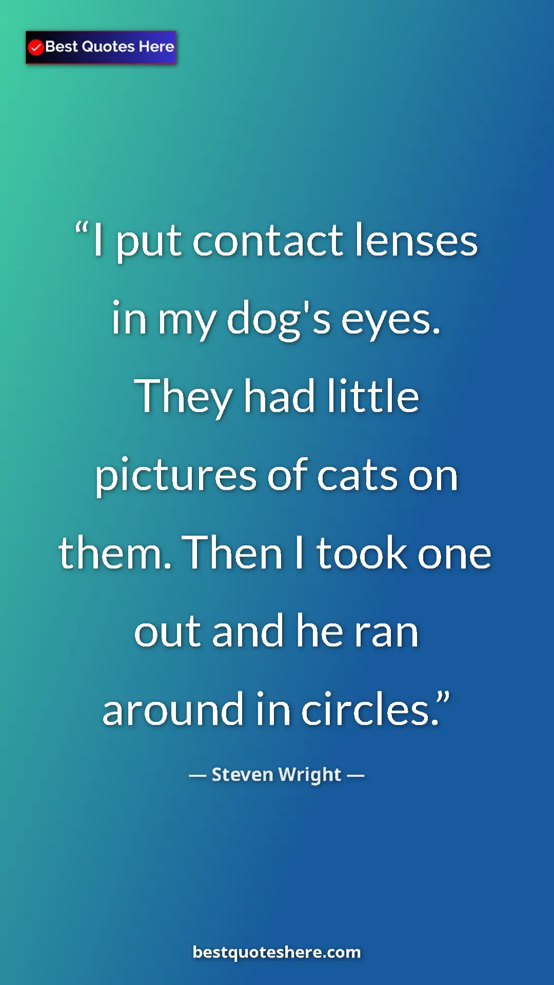 Pinterest quote poster by Steven Wright: "I put contact lenses in my dog's eyes. They had little..."