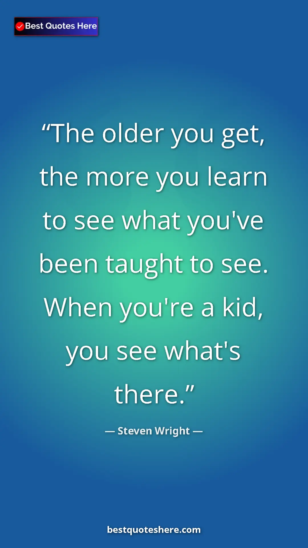 Pinterest quote poster by Steven Wright: "The older you get, the more you learn to see what you've..."