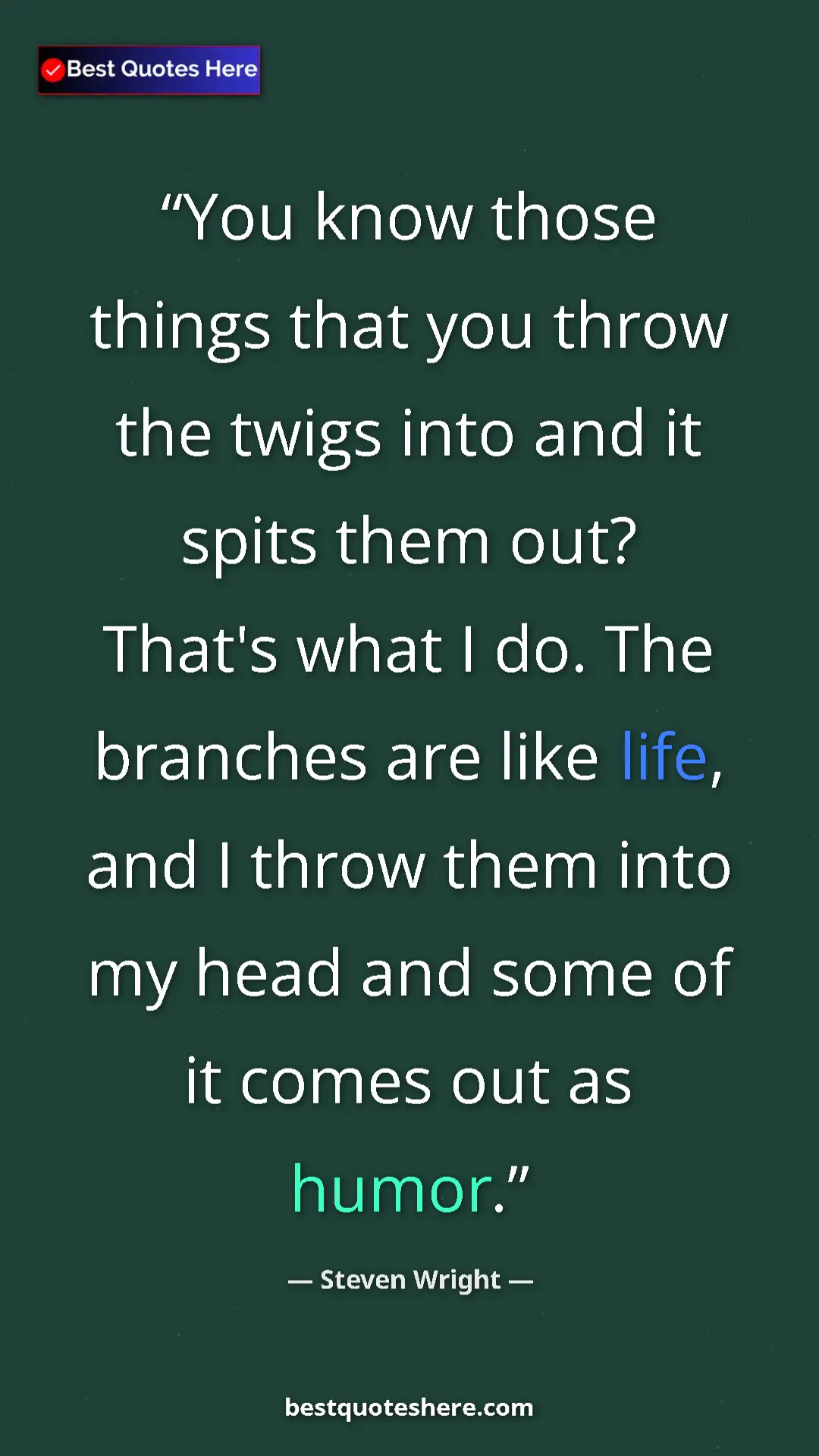 Pinterest quote poster by Steven Wright: "You know those things that you throw the twigs into and it..."