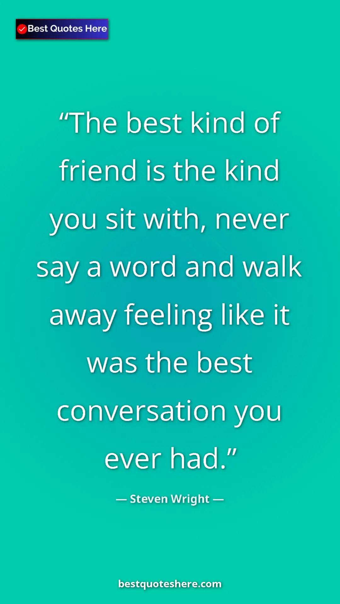 Pinterest quote poster by Steven Wright: "The best kind of friend is the kind you sit with, never say..."
