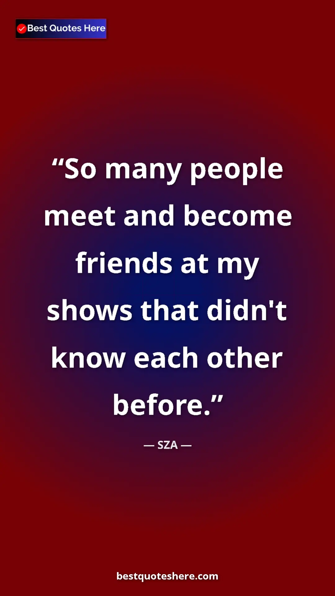 Pinterest quote poster by SZA: "So many people meet and become friends at my shows that..."