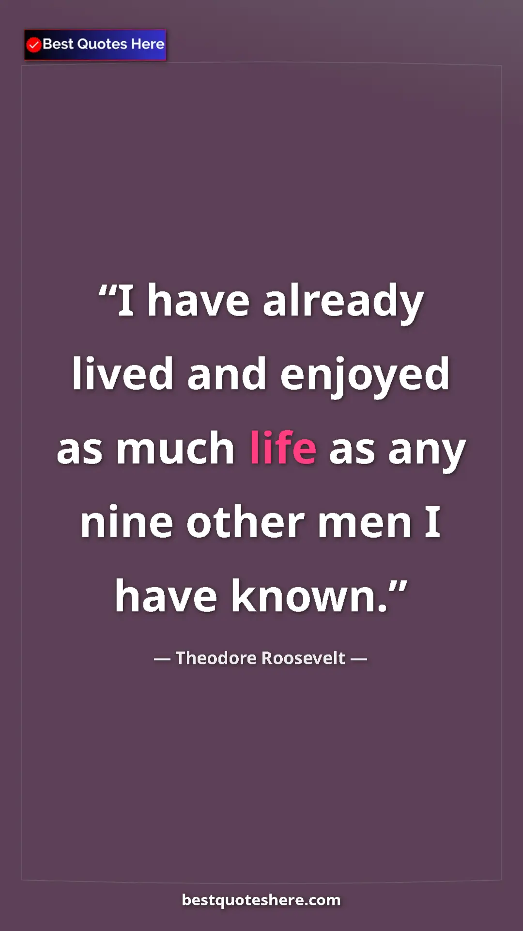 Pinterest quote poster by Theodore Roosevelt: "I have already lived and enjoyed as much life as any nine..."