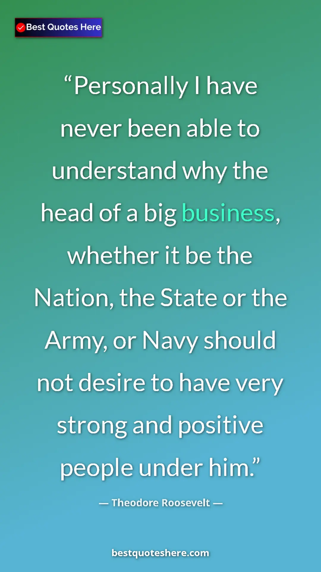 Theodore Roosevelt Quote Card: "Personally I have never been able to understand why the..." Pinterest quote poster by Theodore Roosevelt: "Personally I have never been able to understand why the..."
