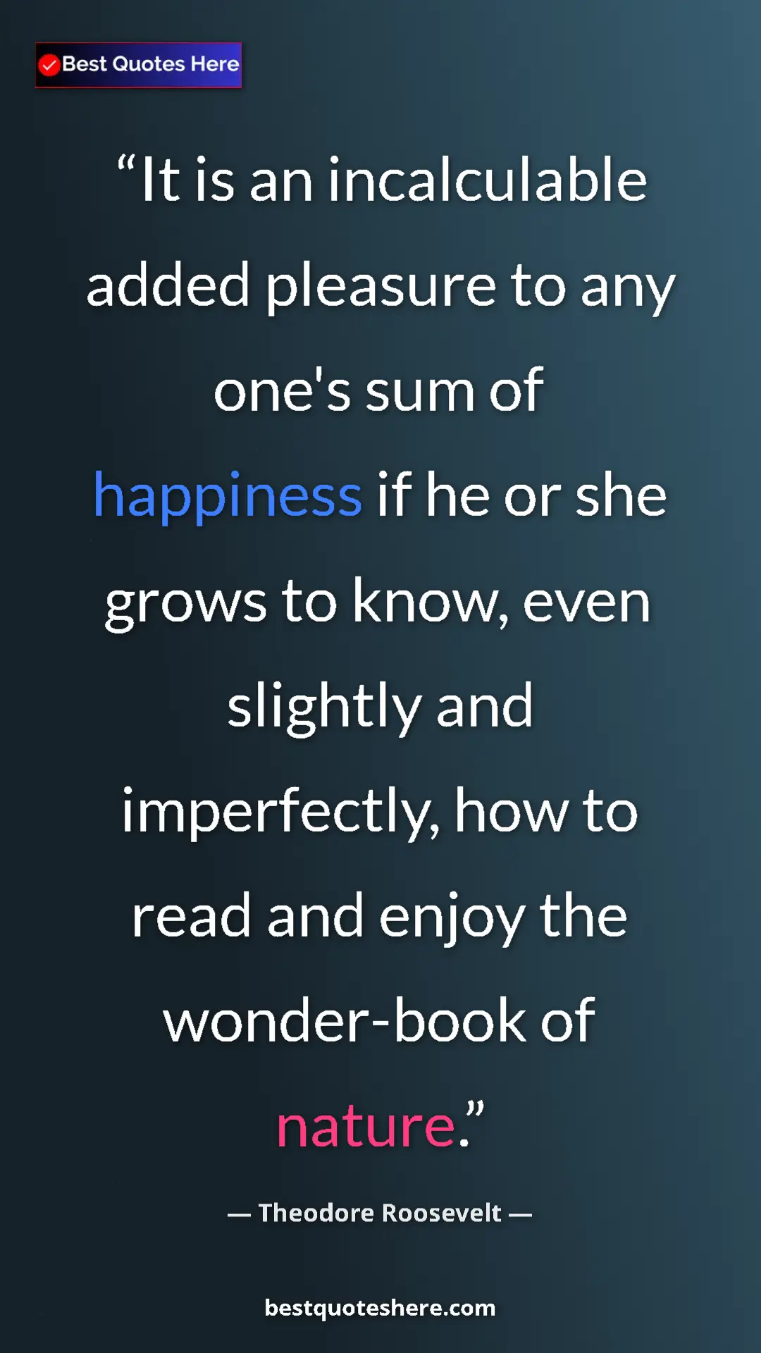 Pinterest quote poster by Theodore Roosevelt: "It is an incalculable added pleasure to any one's sum of..."