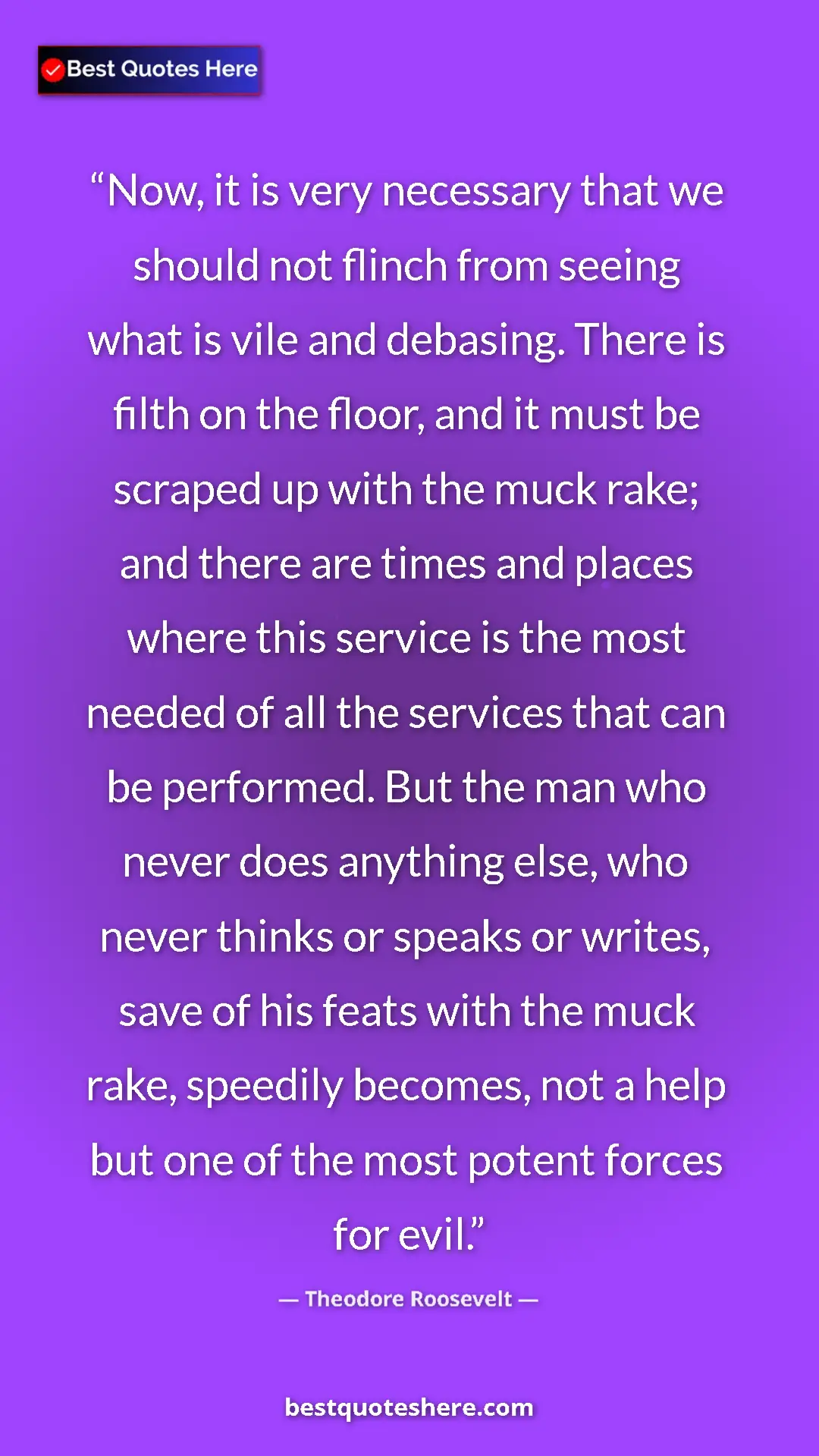 Pinterest quote poster by Theodore Roosevelt: "Now, it is very necessary that we should not flinch from..."
