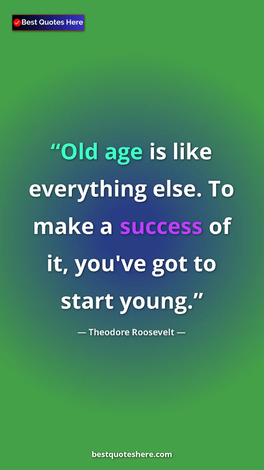 Pinterest quote poster by Theodore Roosevelt: "Old age is like everything else. To make a success of it,..."