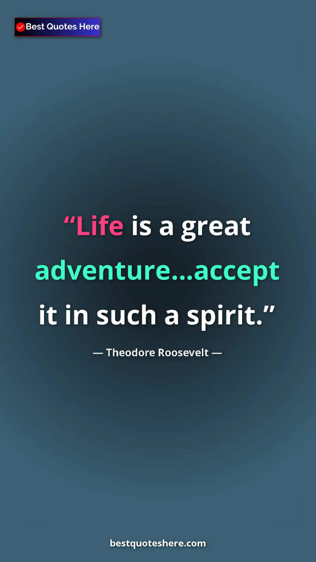 Pinterest quote poster by Theodore Roosevelt: "Life is a great adventure…accept it in such a spirit."