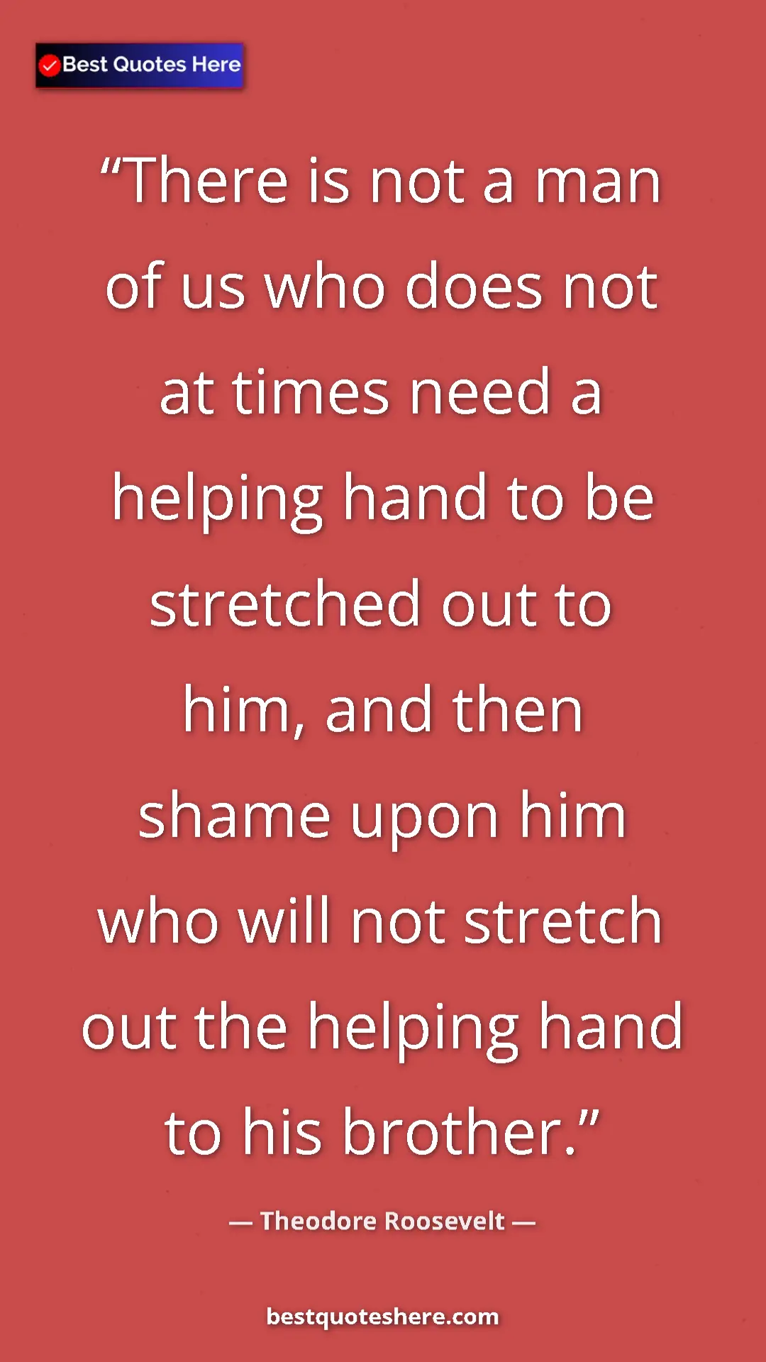 Pinterest quote poster by Theodore Roosevelt: "There is not a man of us who does not at times need a..."
