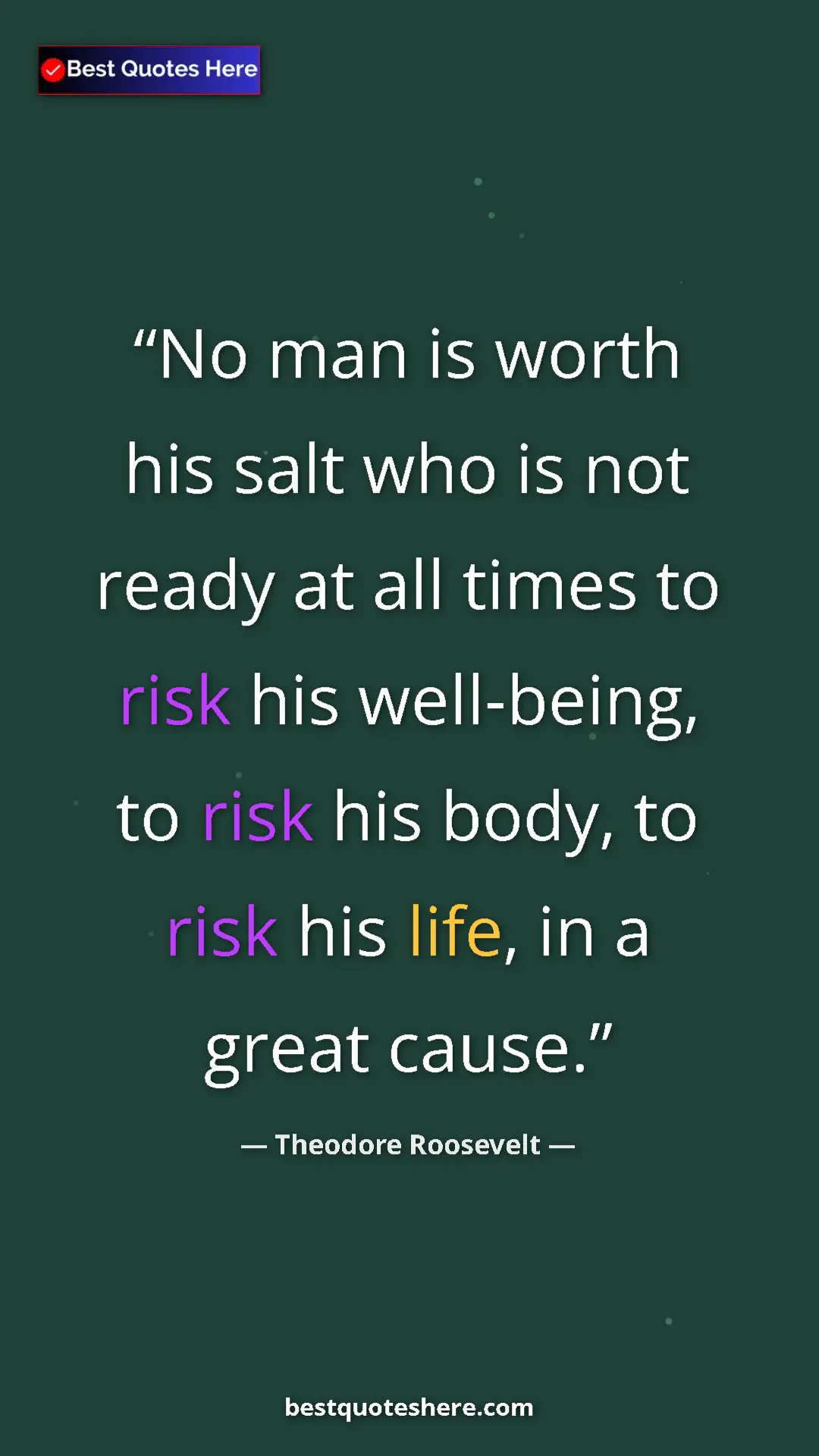 Pinterest quote poster by Theodore Roosevelt: "No man is worth his salt who is not ready at all times to..."