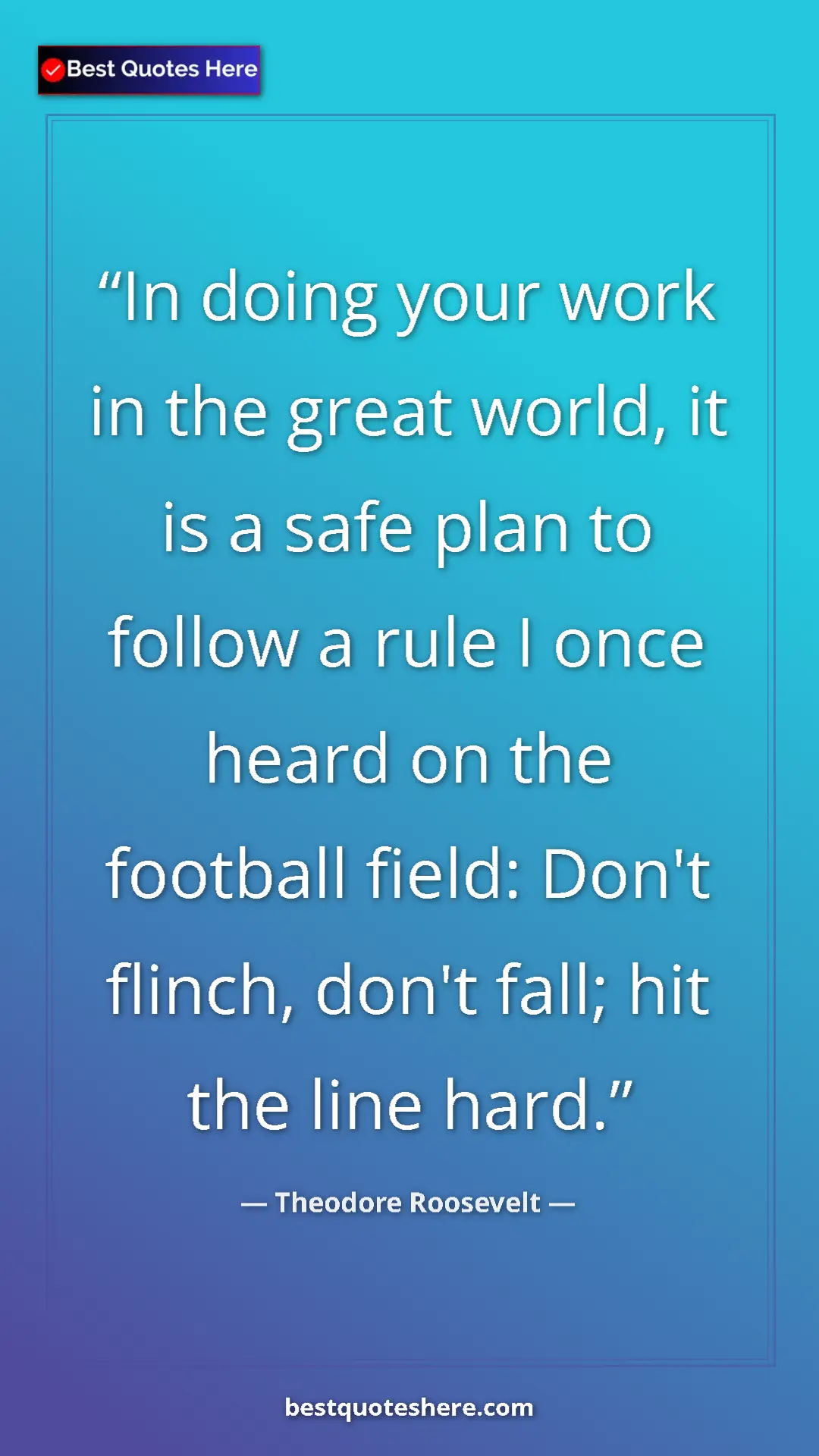 Pinterest quote poster by Theodore Roosevelt: "In doing your work in the great world, it is a safe plan to..."