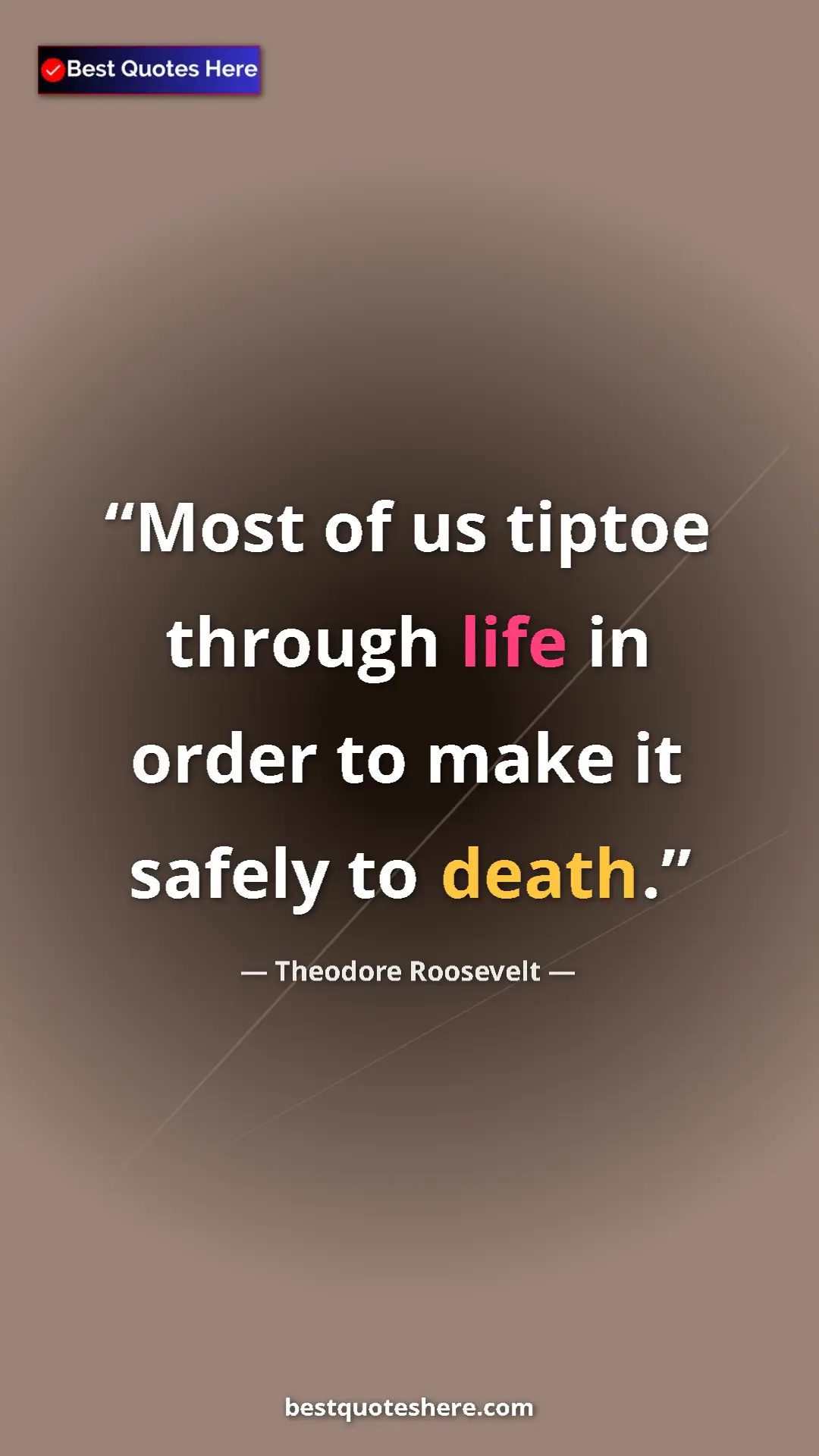 Pinterest quote poster by Theodore Roosevelt: "Most of us tiptoe through life in order to make it safely..."