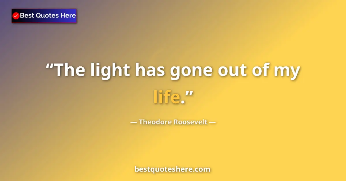 Quote by Theodore Roosevelt: The light has gone out of my life.