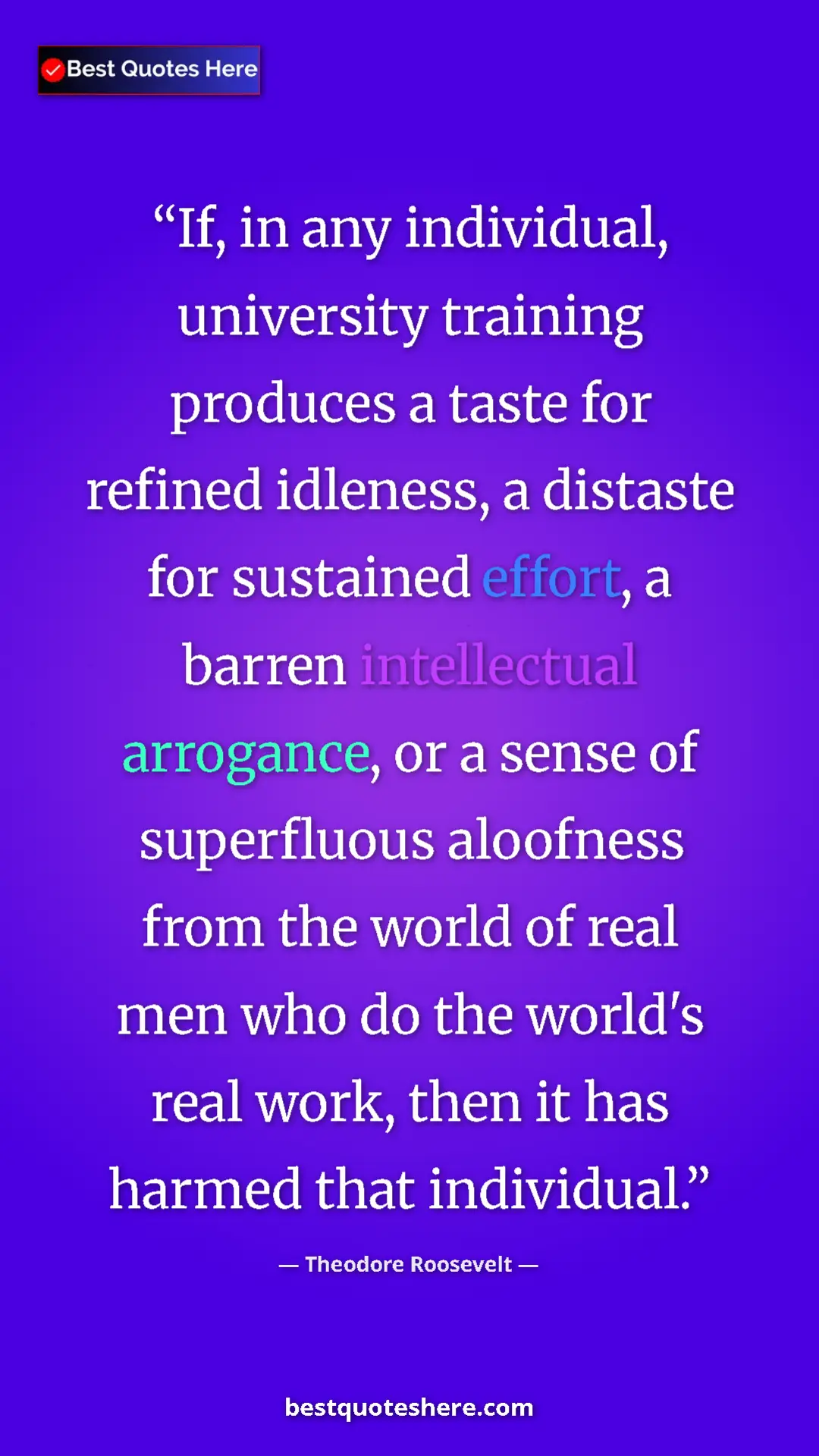 Pinterest quote poster by Theodore Roosevelt: "If, in any individual, university training produces a taste..."
