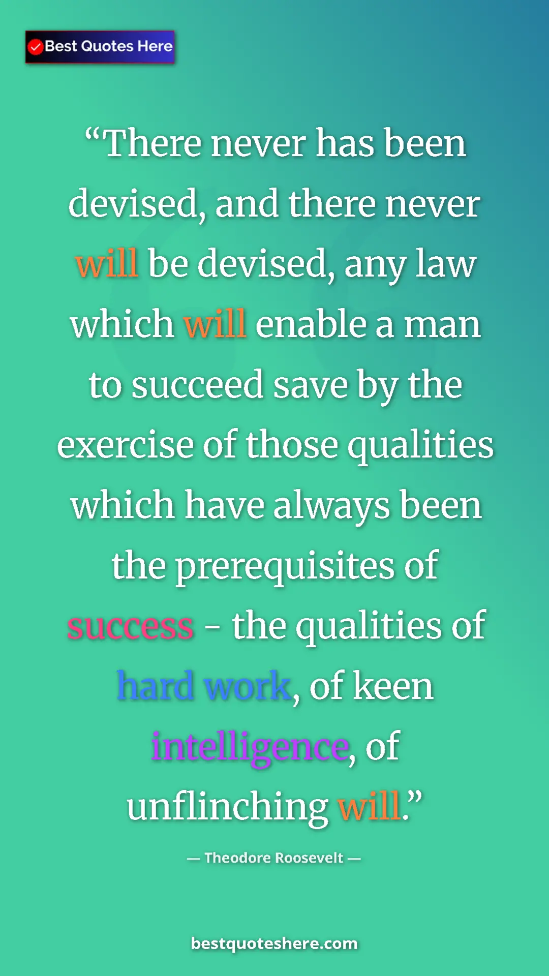 Pinterest quote poster by Theodore Roosevelt: "There never has been devised, and there never will be..."