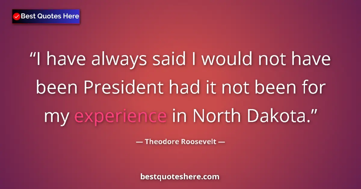 Theodore Roosevelt Quote: "I have always said I would not have been President had it..." Theodore Roosevelt quote: "I have always said I would not have been President had it..."