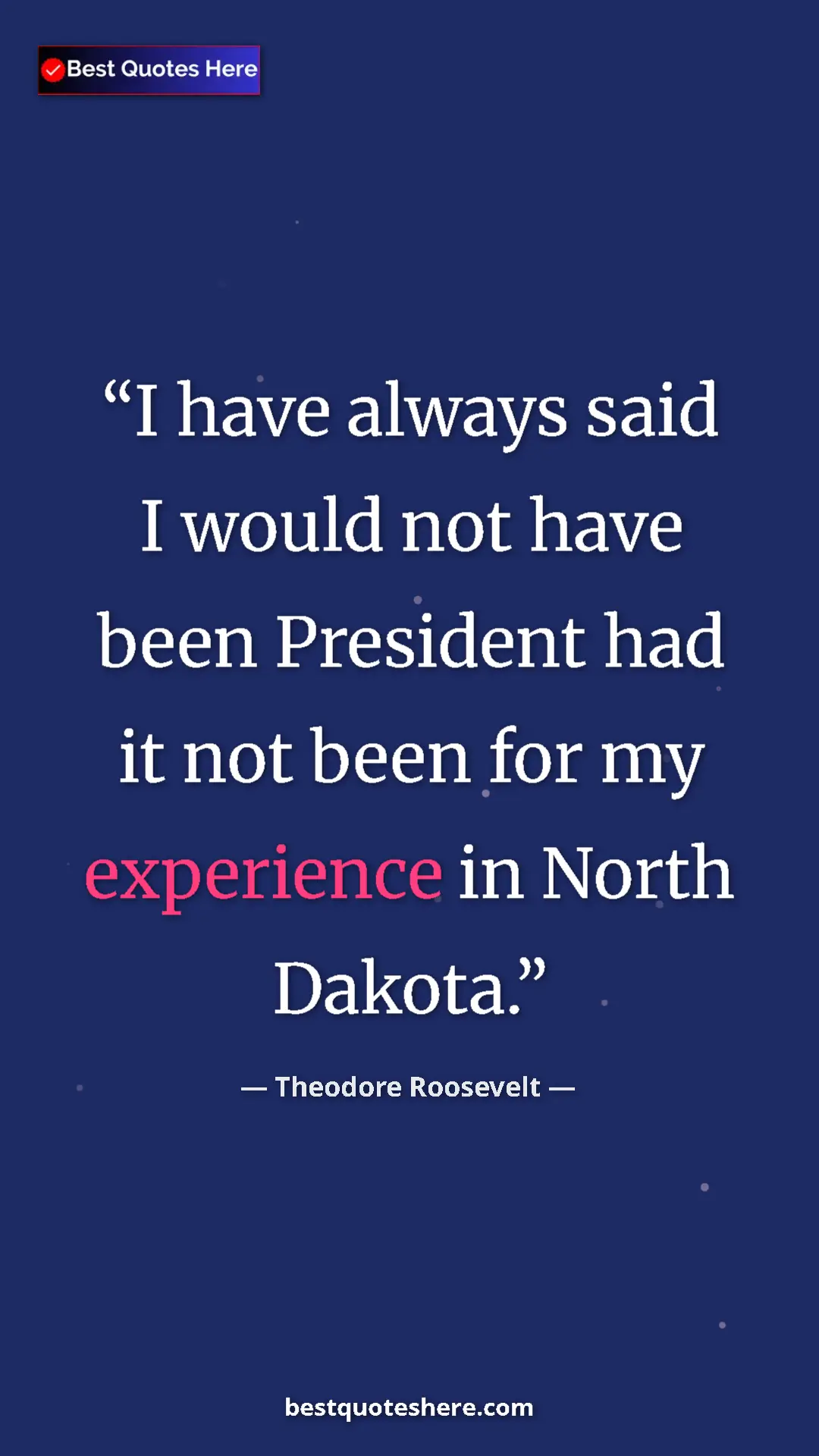 Theodore Roosevelt Quote Card: "I have always said I would not have been President had it..." Pinterest quote poster by Theodore Roosevelt: "I have always said I would not have been President had it..."